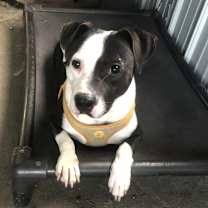 Thumbnail photo of Zeus #1