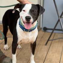 Thumbnail photo of Zeus #2