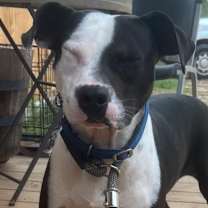 Thumbnail photo of Zeus #3