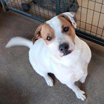 Thumbnail photo of COMPASS #1