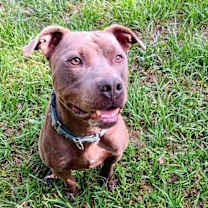 Thumbnail photo of LANDING #1