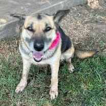 Thumbnail photo of Mylie Cyrus #3