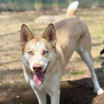 Thumbnail photo of Harper #1