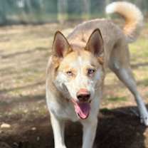 Thumbnail photo of Harper #2