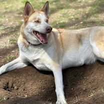 Thumbnail photo of Harper #3