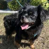 Thumbnail photo of Kip #1