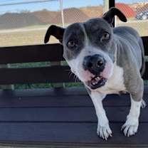 Thumbnail photo of Ellie #3