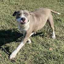 Thumbnail photo of Ellie #4