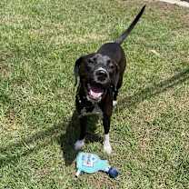 Thumbnail photo of Tequila Sunrise #2