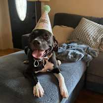 Thumbnail photo of Tequila Sunrise #3