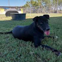 Thumbnail photo of Ledger #4