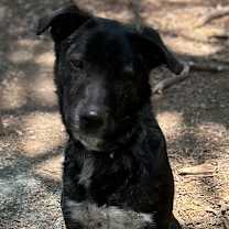 Thumbnail photo of Montana - GA #1