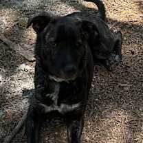 Thumbnail photo of Montana - GA #2