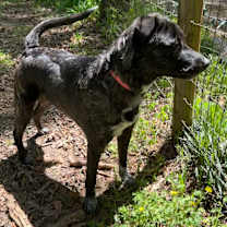 Thumbnail photo of Montana - GA #3