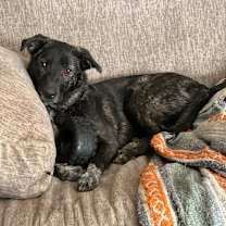 Thumbnail photo of Montana - GA #4