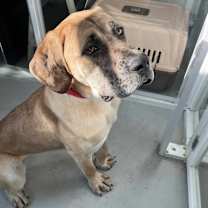 Thumbnail photo of Lux #4