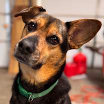 Thumbnail photo of Breanne #3