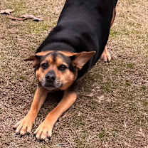 Thumbnail photo of Breanne #4