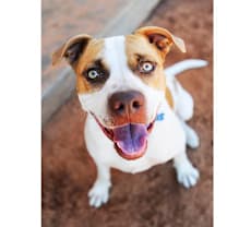 Thumbnail photo of Yamaha #2