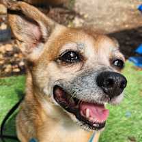 Thumbnail photo of George #1