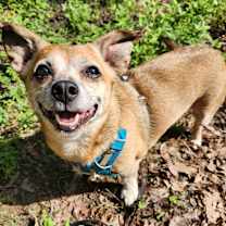 Thumbnail photo of George #2