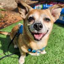 Thumbnail photo of George #3