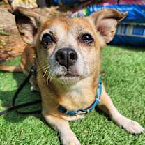 Thumbnail photo of George #4