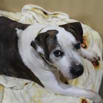 Thumbnail photo of Patrick #3