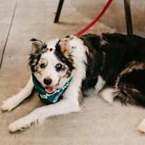 Thumbnail photo of Dai Mar #2