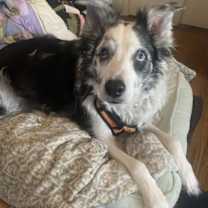 Thumbnail photo of Dai Mar #3