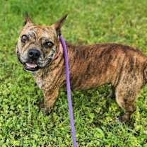 Thumbnail photo of Frannie #1