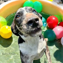 Thumbnail photo of Baby Frecks #4