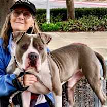 Thumbnail photo of Stevie #1