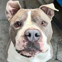 Thumbnail photo of Stevie #3