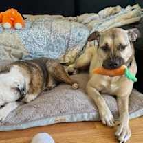 Thumbnail photo of Logan #4