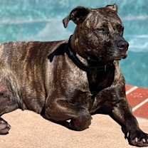 Thumbnail photo of Emma #2