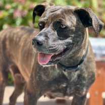 Thumbnail photo of Emma #4