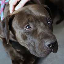 Thumbnail photo of Darius #3