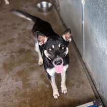 Thumbnail photo of Megan  #1