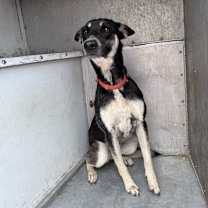 Thumbnail photo of Megan  #3