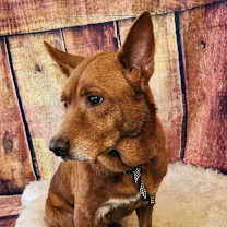 Thumbnail photo of Jesse James JuM #2