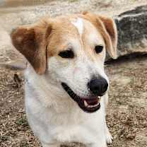 Thumbnail photo of Monty JuM* #1