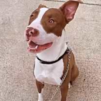 Thumbnail photo of Zeus #1