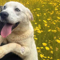 Thumbnail photo of Elsa #1