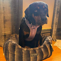 Thumbnail photo of Tessa #3