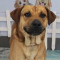 Thumbnail photo of Rusty URGENT HELP ‼️ #1