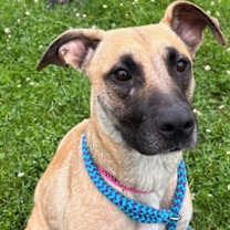 Thumbnail photo of Montana #2