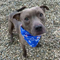 Thumbnail photo of Rick #2