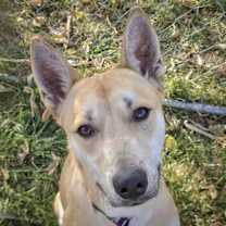 Thumbnail photo of Bart #1