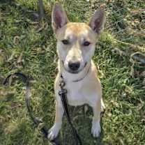 Thumbnail photo of Bart #2